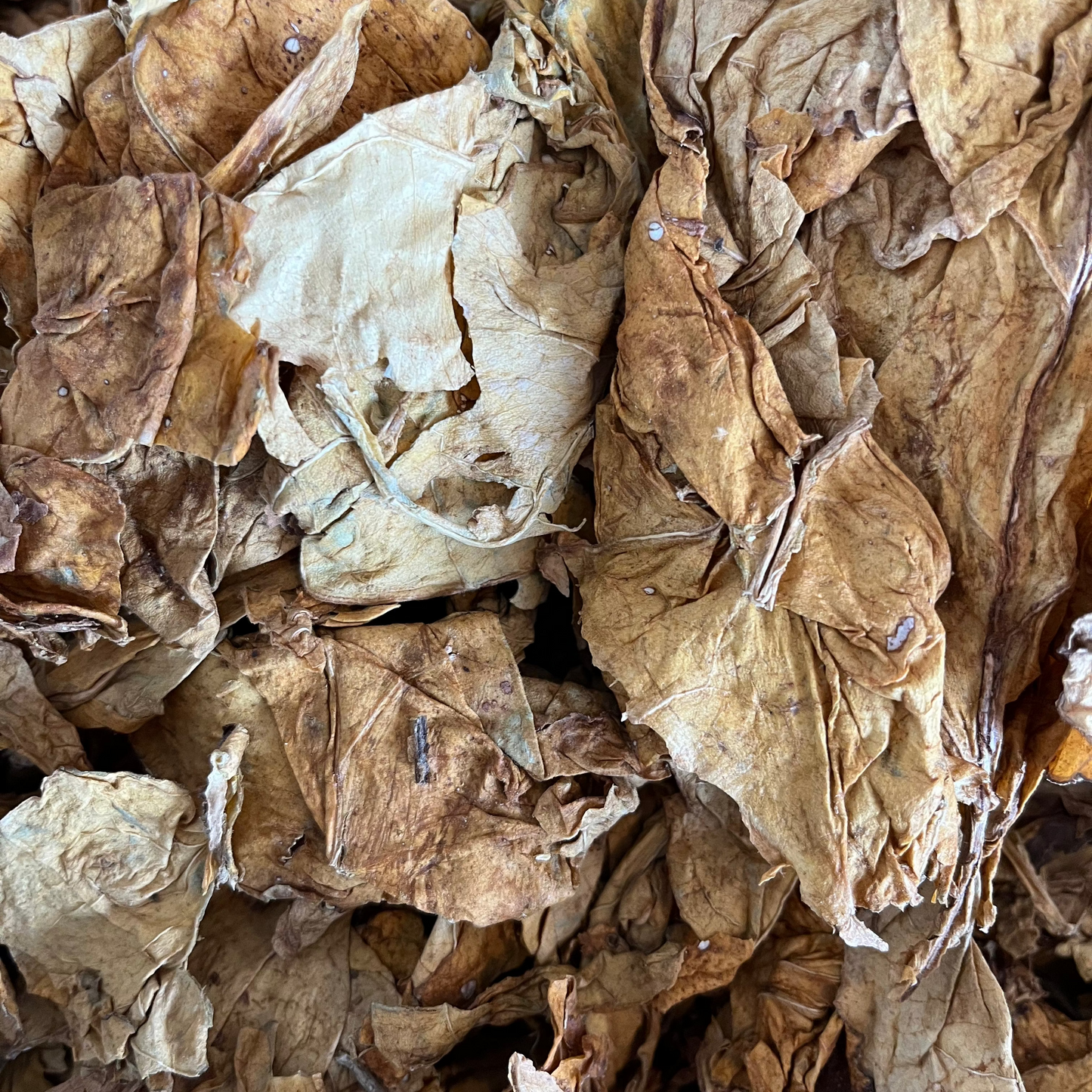 Ceremonial Asemaa | Natural Tobacco