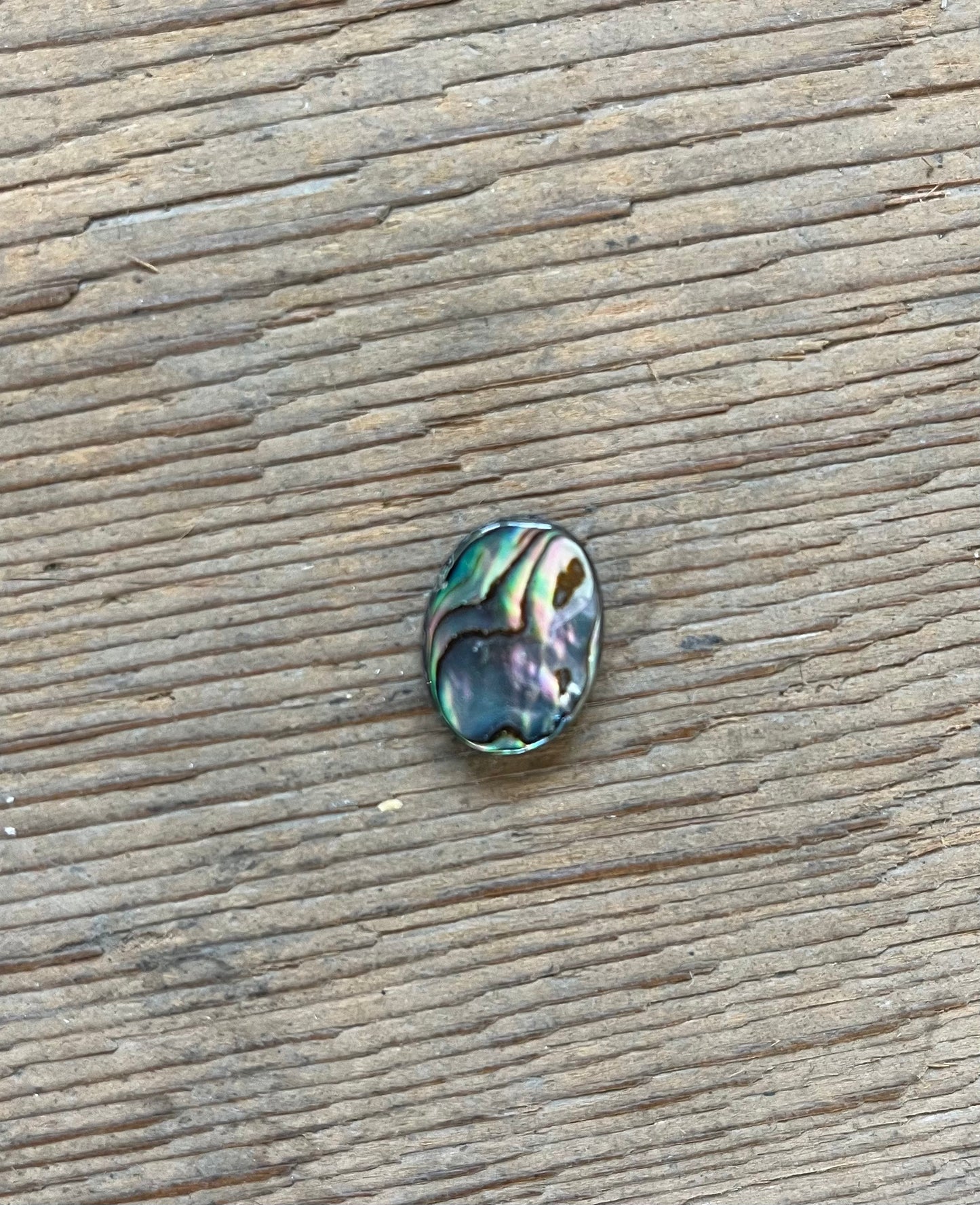 Abalone Shell Beads