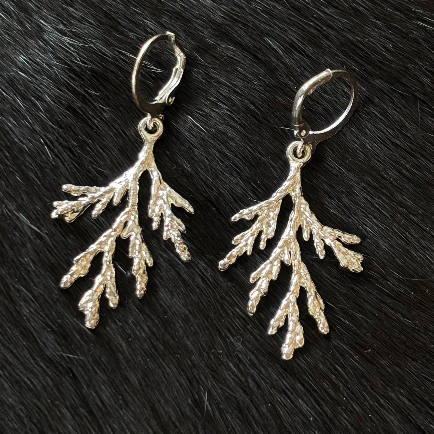 Cedar Dangle Earrings