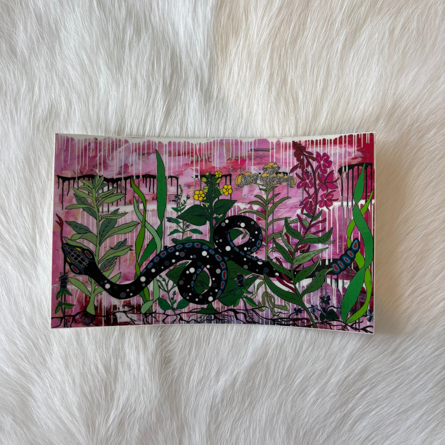 Snake Plant Medicine Sticker- Rhudey