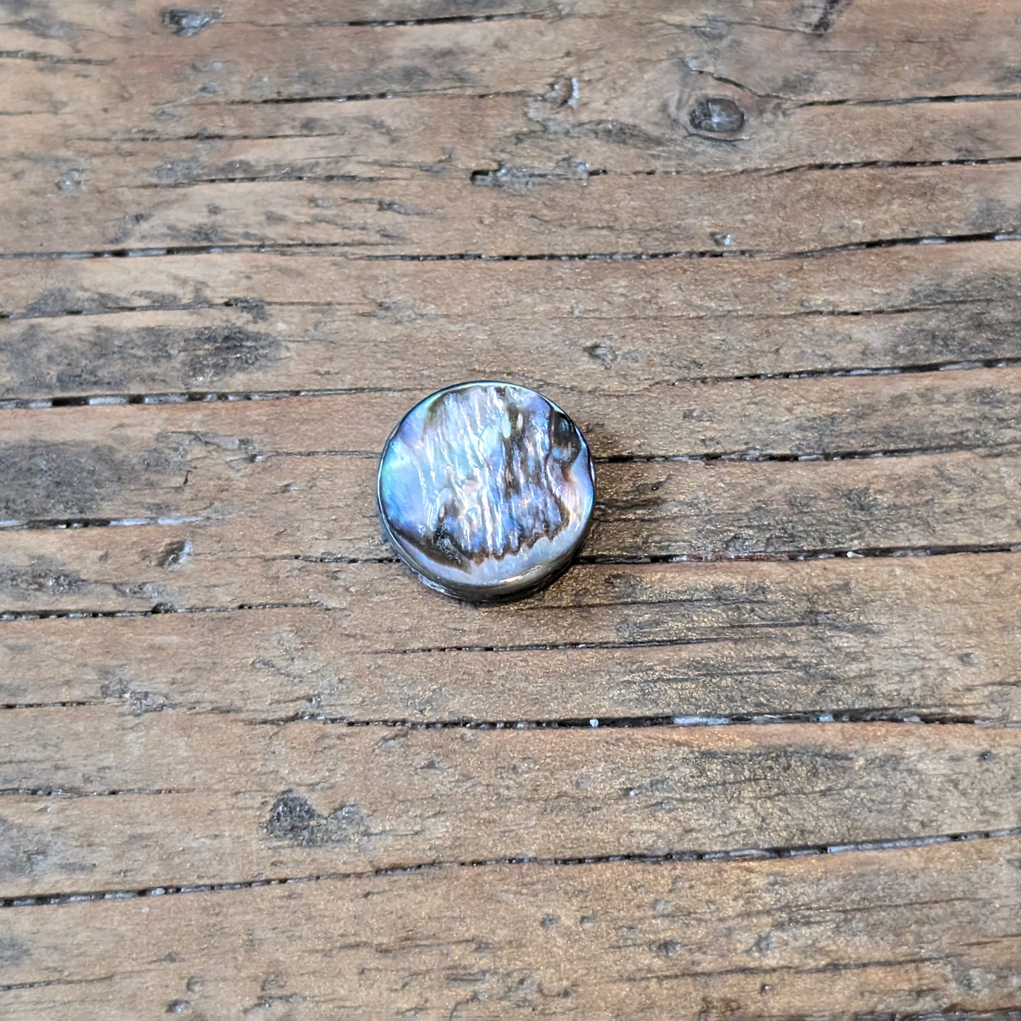 Circle Abalone Shell Beads