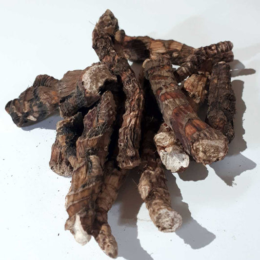 Bitter Root (Rat Root)