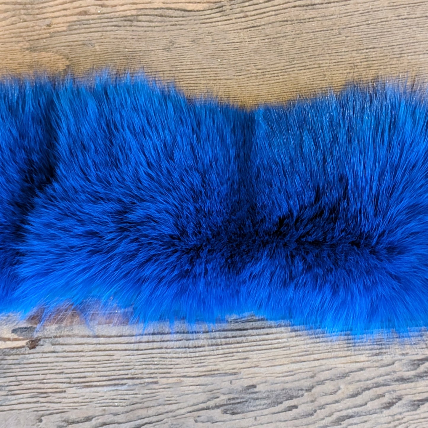 Fox Fur Stripping in Electric Blue