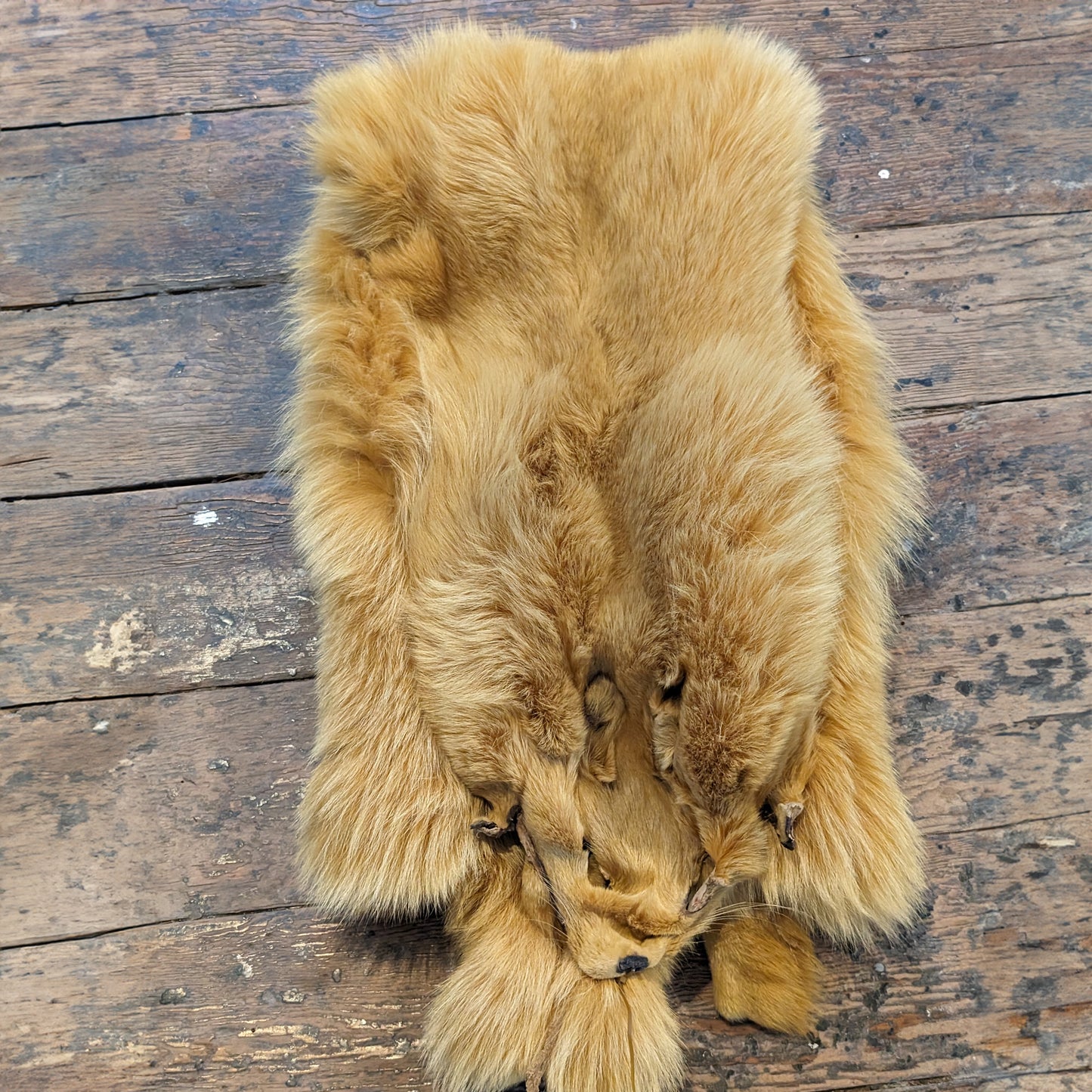 Fox Pelt in Golden Yellow