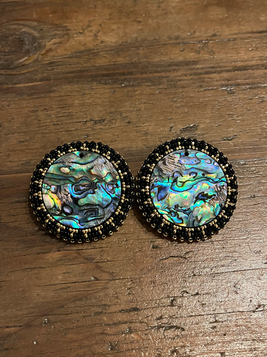 Abalone Medicine Stud Earrings