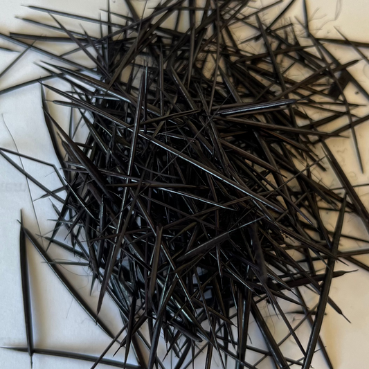 Black Porcupine Quills