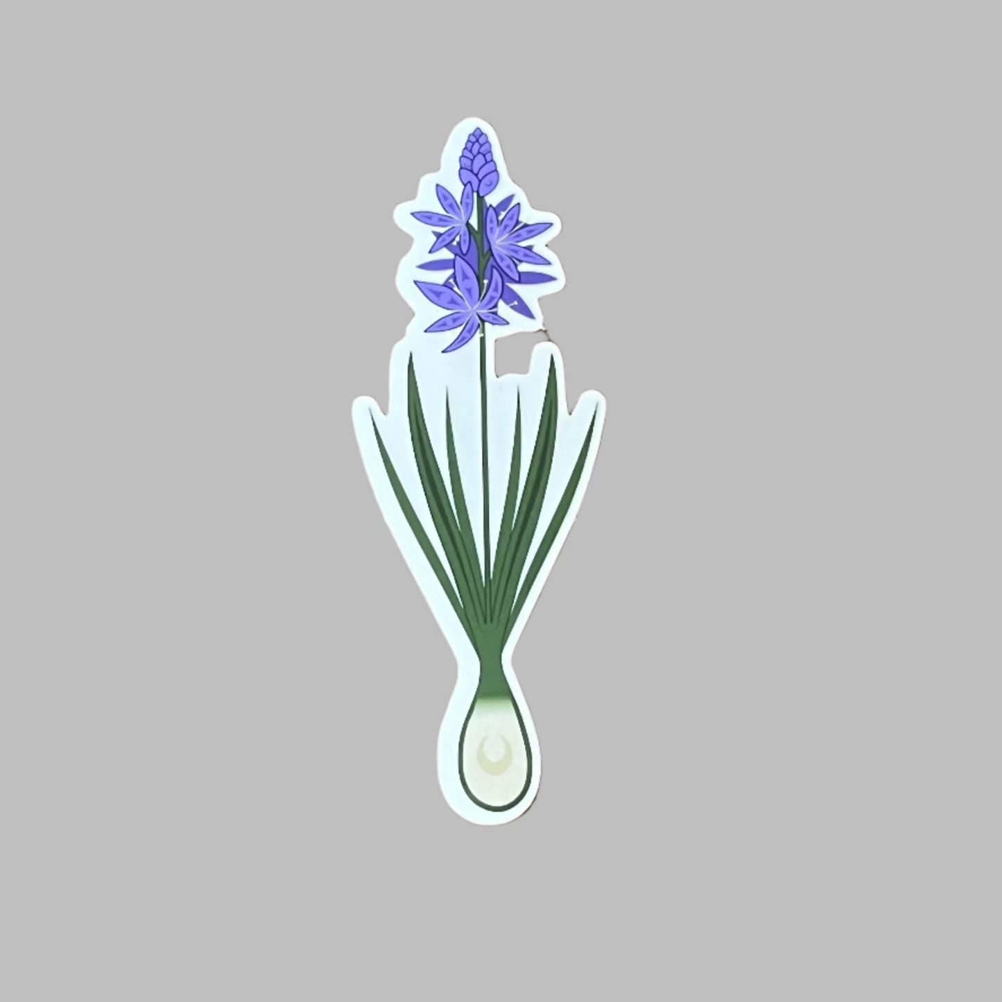 Camas Coast Salish Stickers