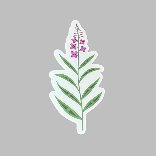 Fireweeed Coast Salish Stickers