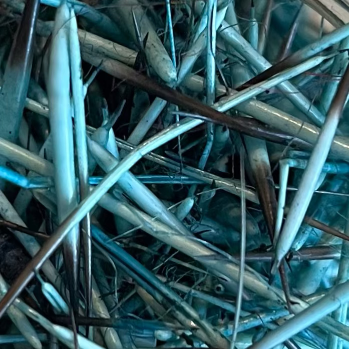 Porcupine Quills in Turquoise