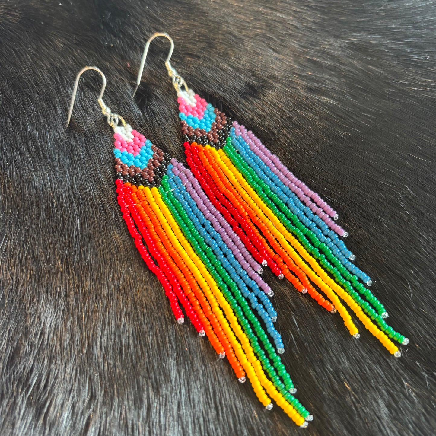 Progress Pride Fringe Earrings