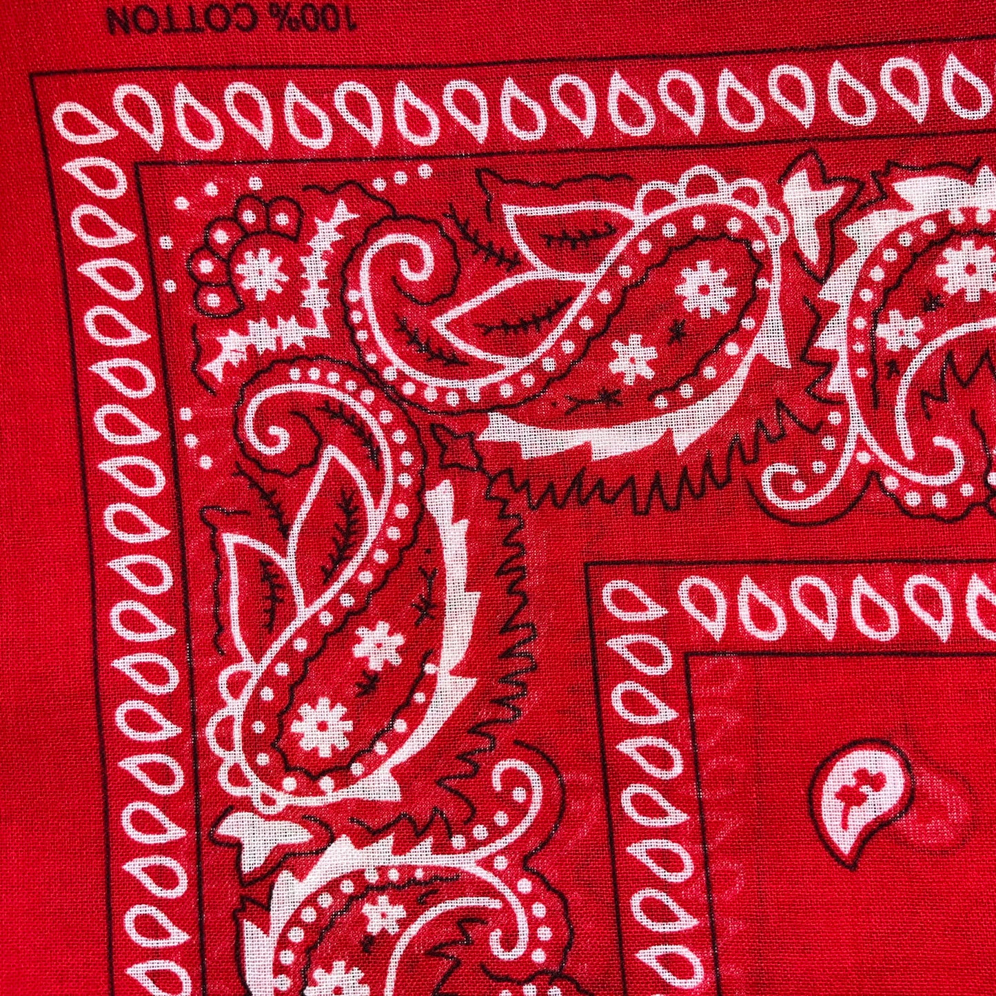 Bandanas- Assorted Colours