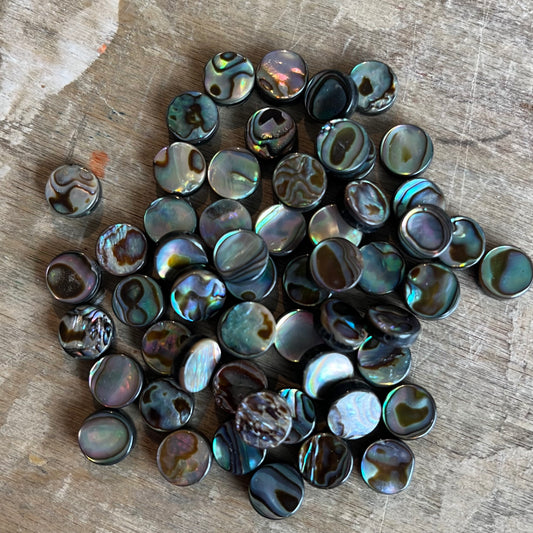 Circle Abalone Shell Beads