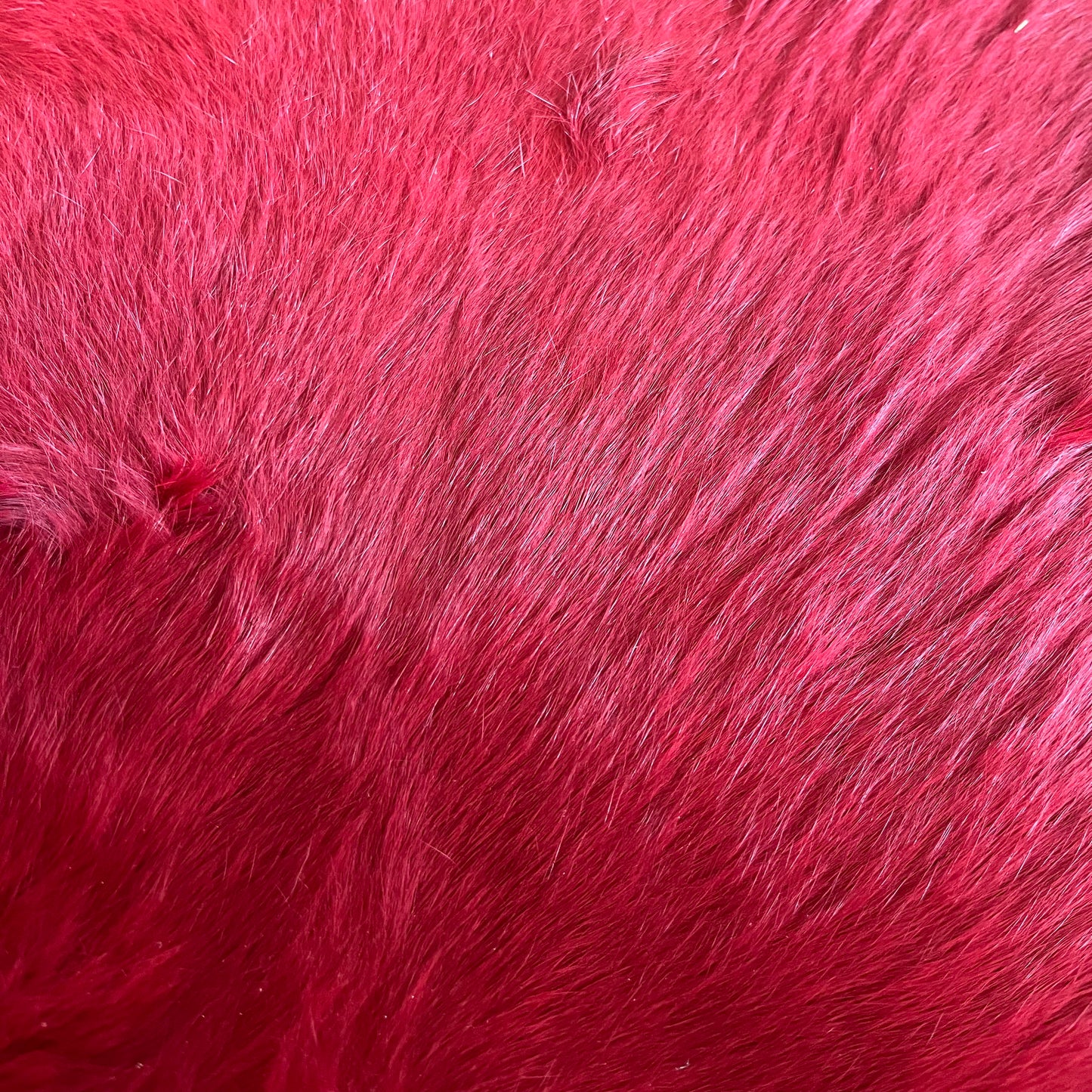Rabbit Fur