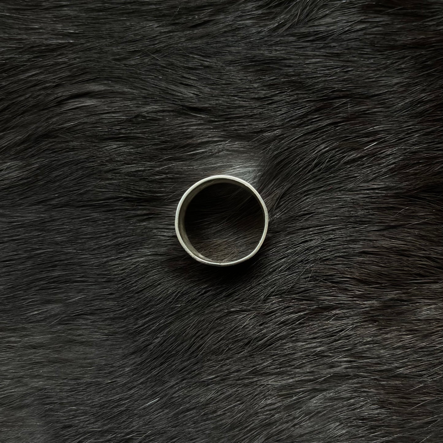 Silver Raven Ring Size 9 | Norman Seaweed