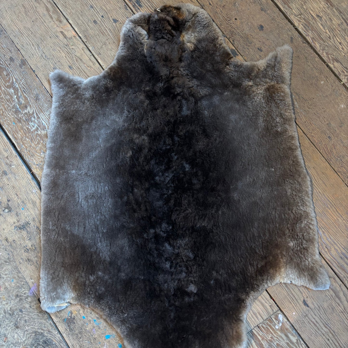 Beaver Pelts