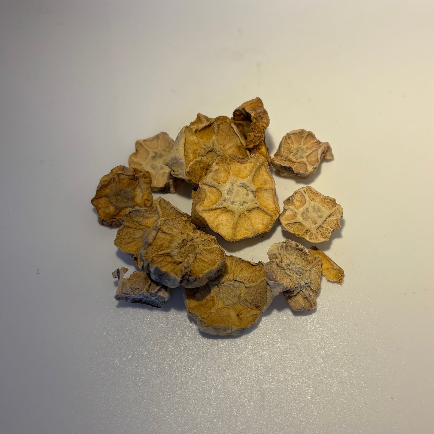 White Water Lily Root Medicine