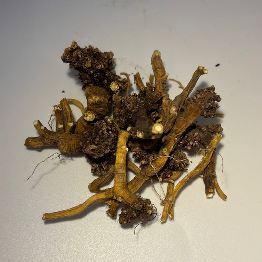 Senega Root