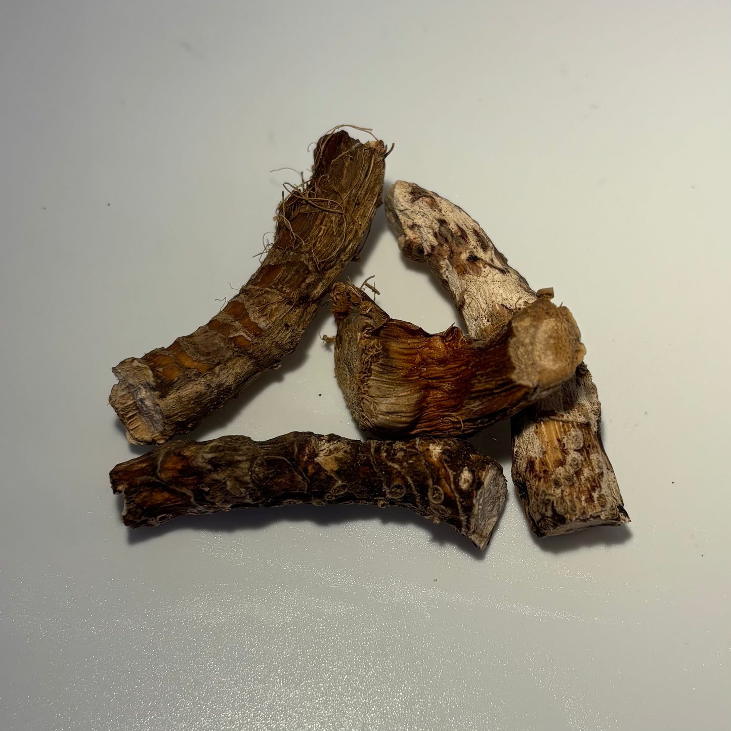 Bitter Root (Rat Root)