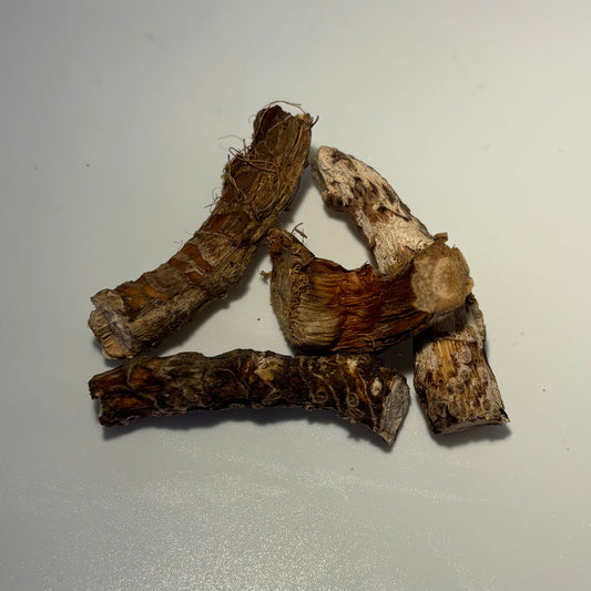 Bitter Root (Rat Root)