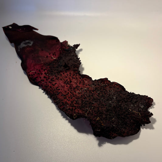 West Coast Seaweed Scrub Cloth