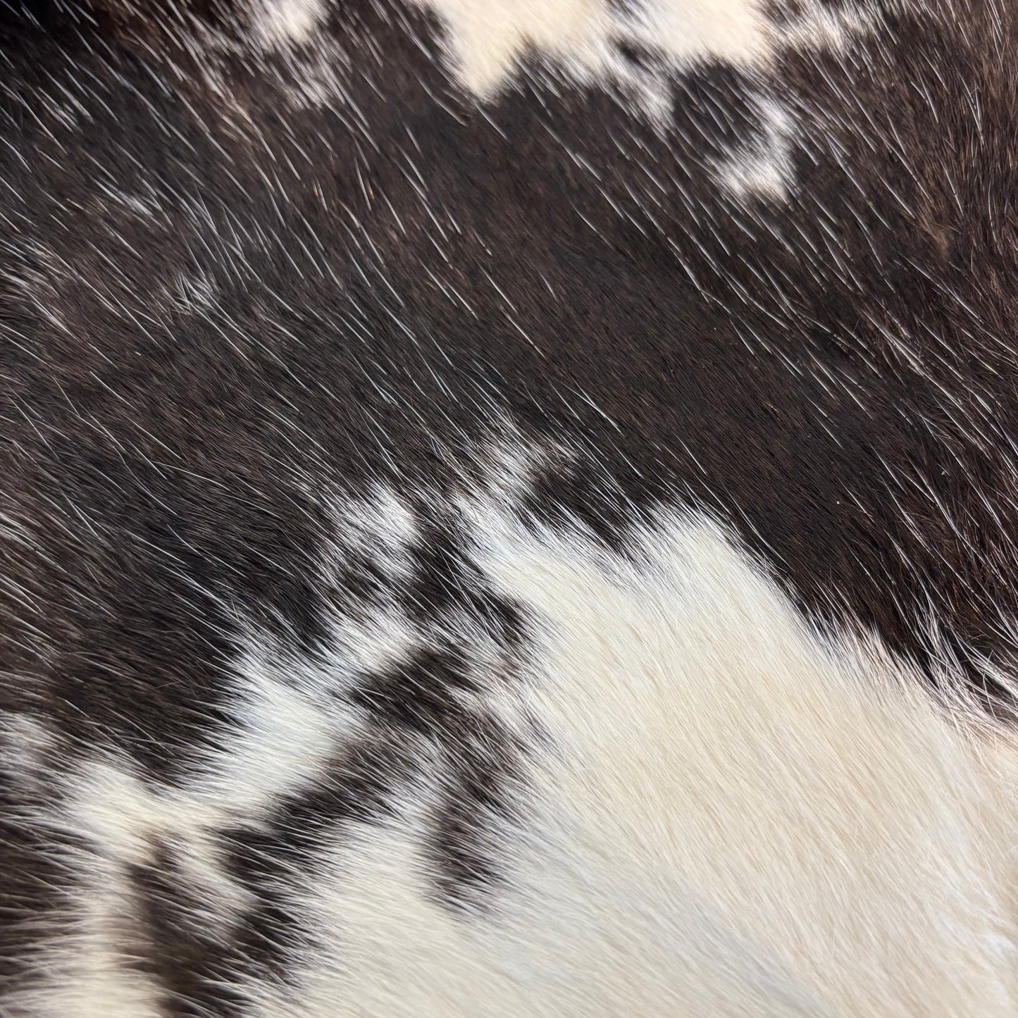 Rabbit Fur