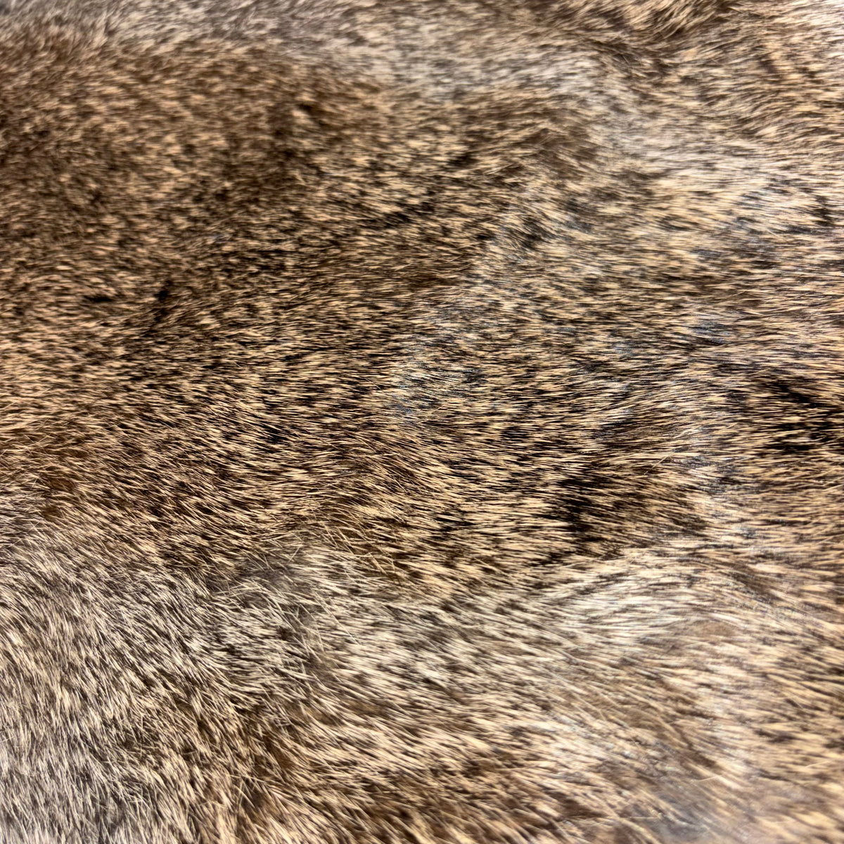 Rabbit Fur