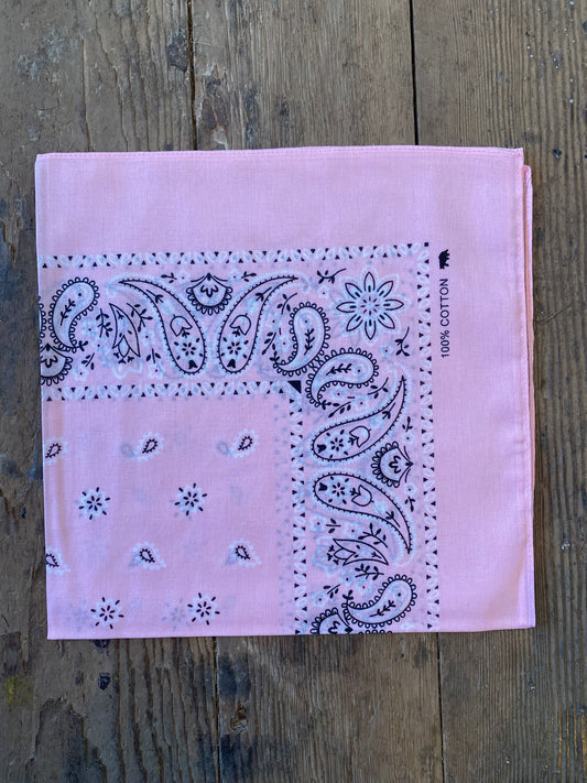 Paisley Bandanas in Pink