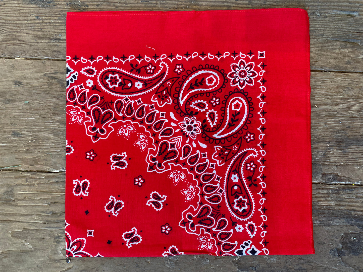 Paisley Bandanas in Red