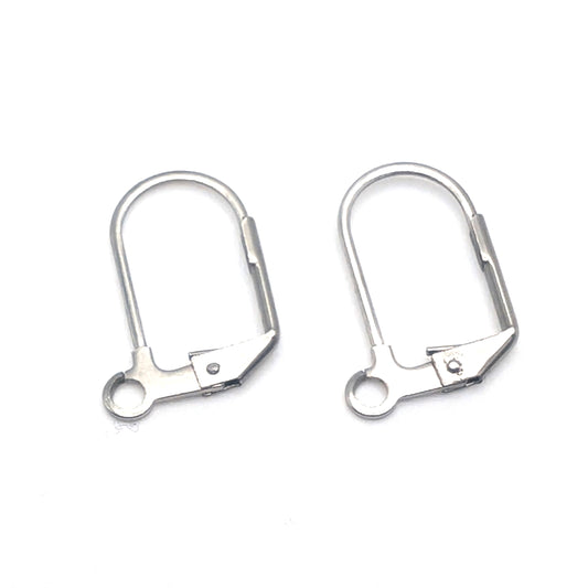 Stainless Steel Lever Back Ear Hooks