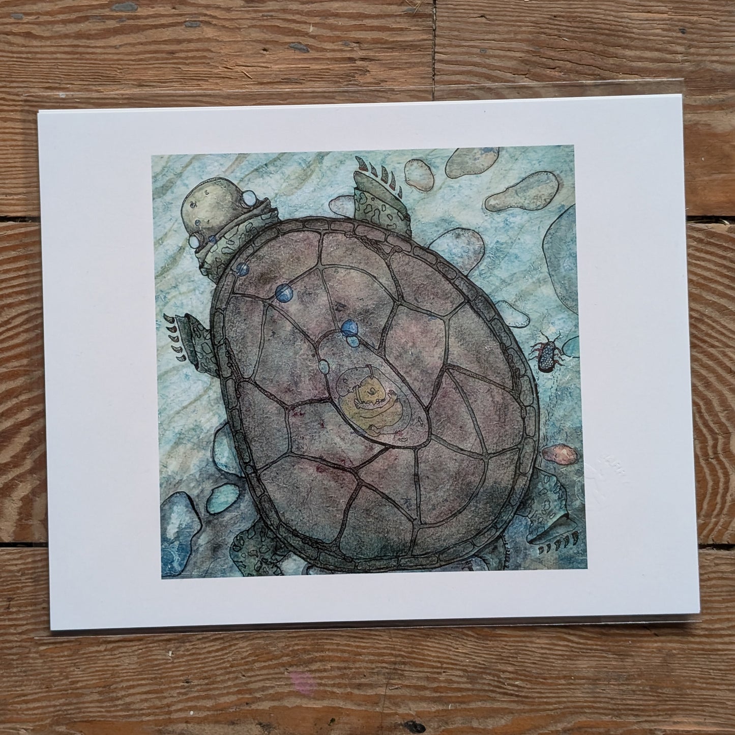 "Waking Beetle" Turtle Digital Prints