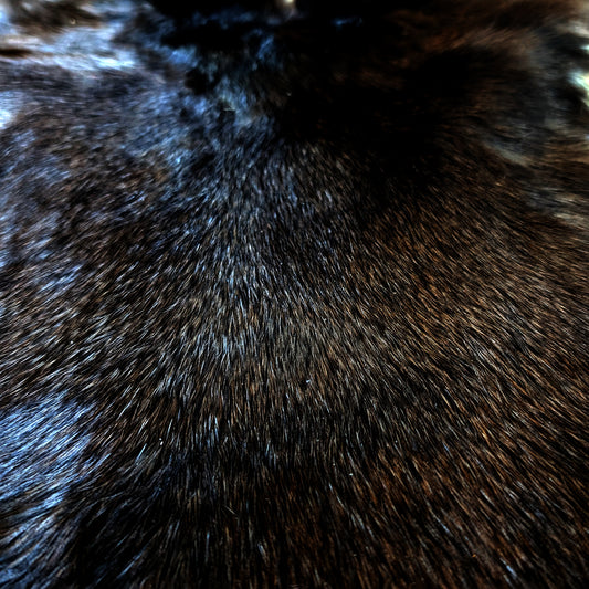Large Plush Black Rabbit Fur