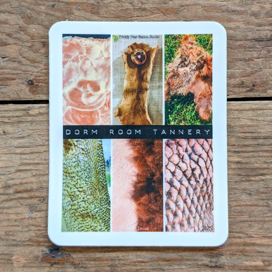 Dorm Room (colour zine cover) - Sticker