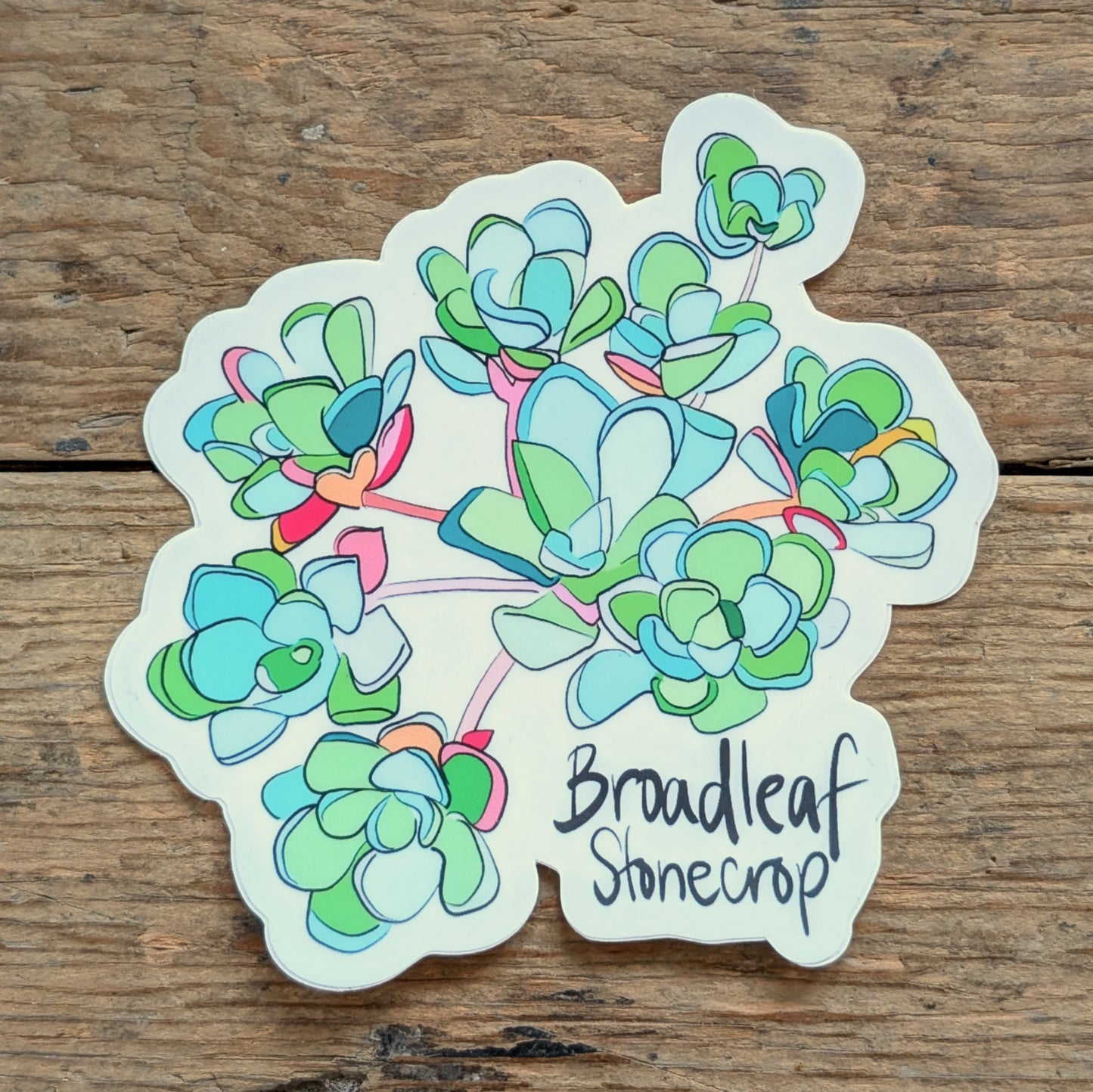 Broadleaf Sticker