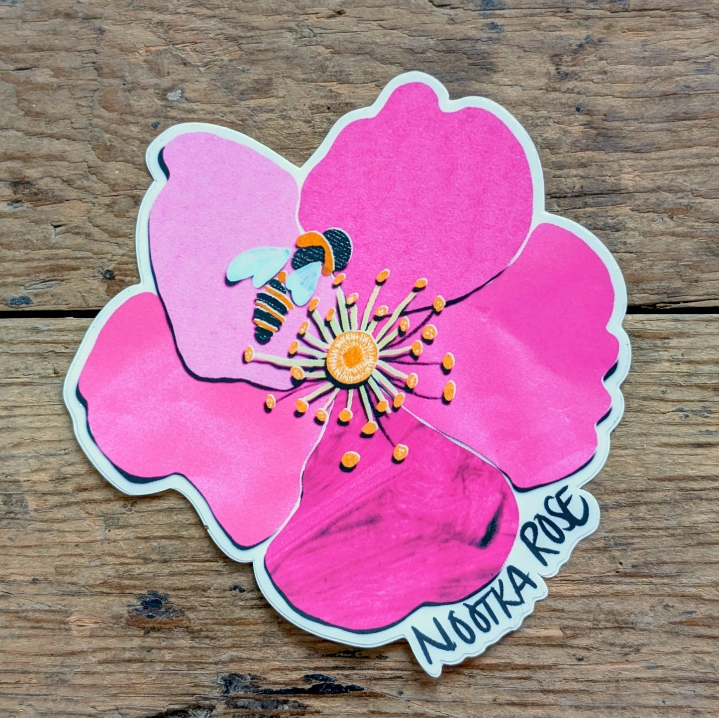 Nootka Rose Sticker