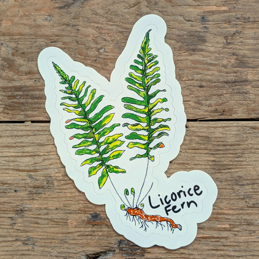 Liquorice Fern Sticker