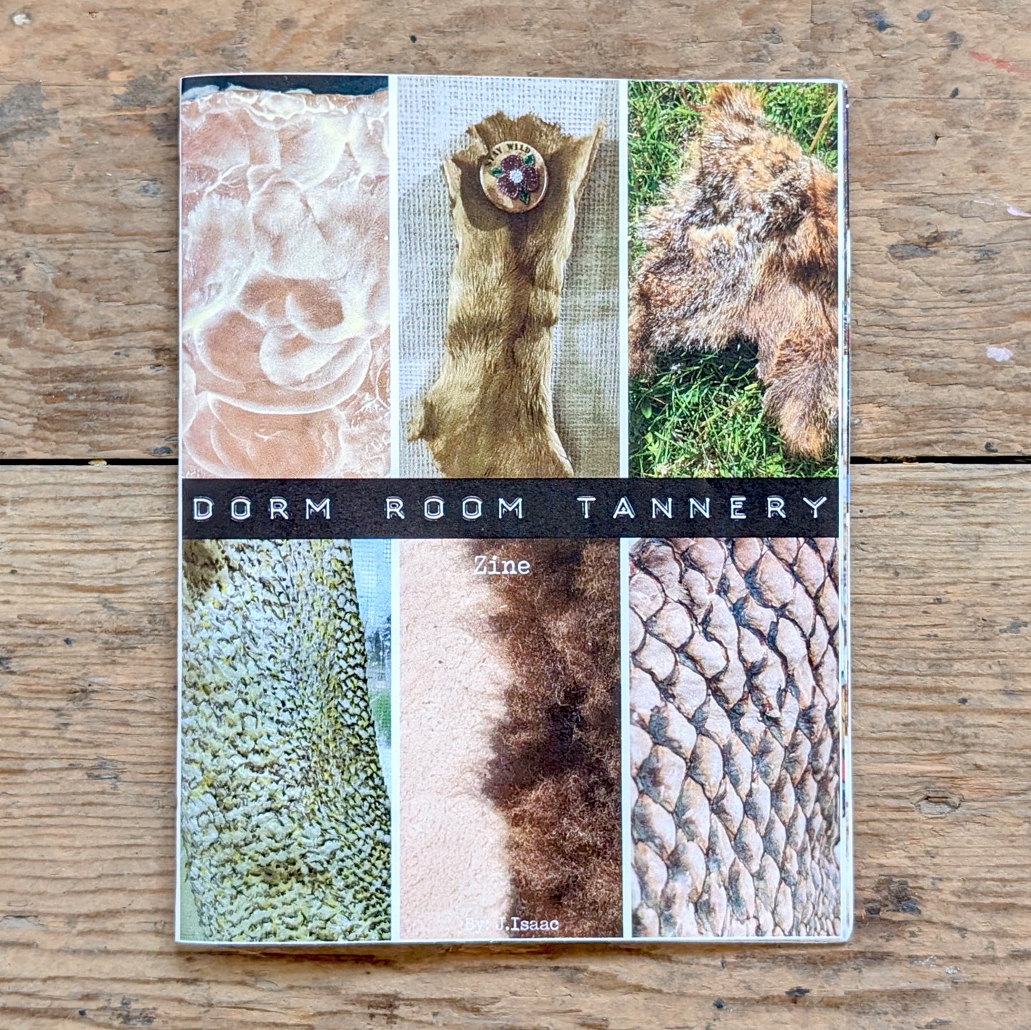 Dorm Room Tannery Zine