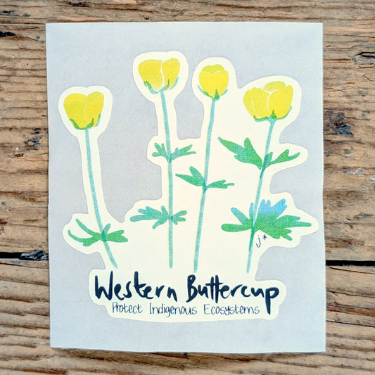 Western Buttercup Sticker