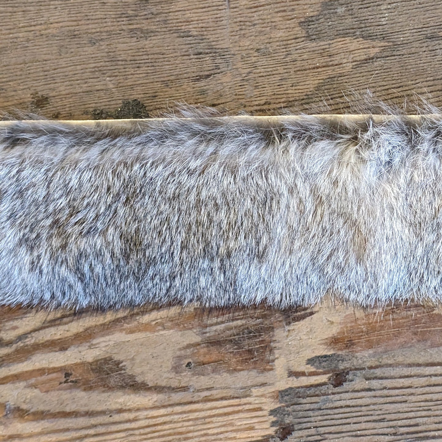 Rabbit Fur Stripping in "Chinchilla"