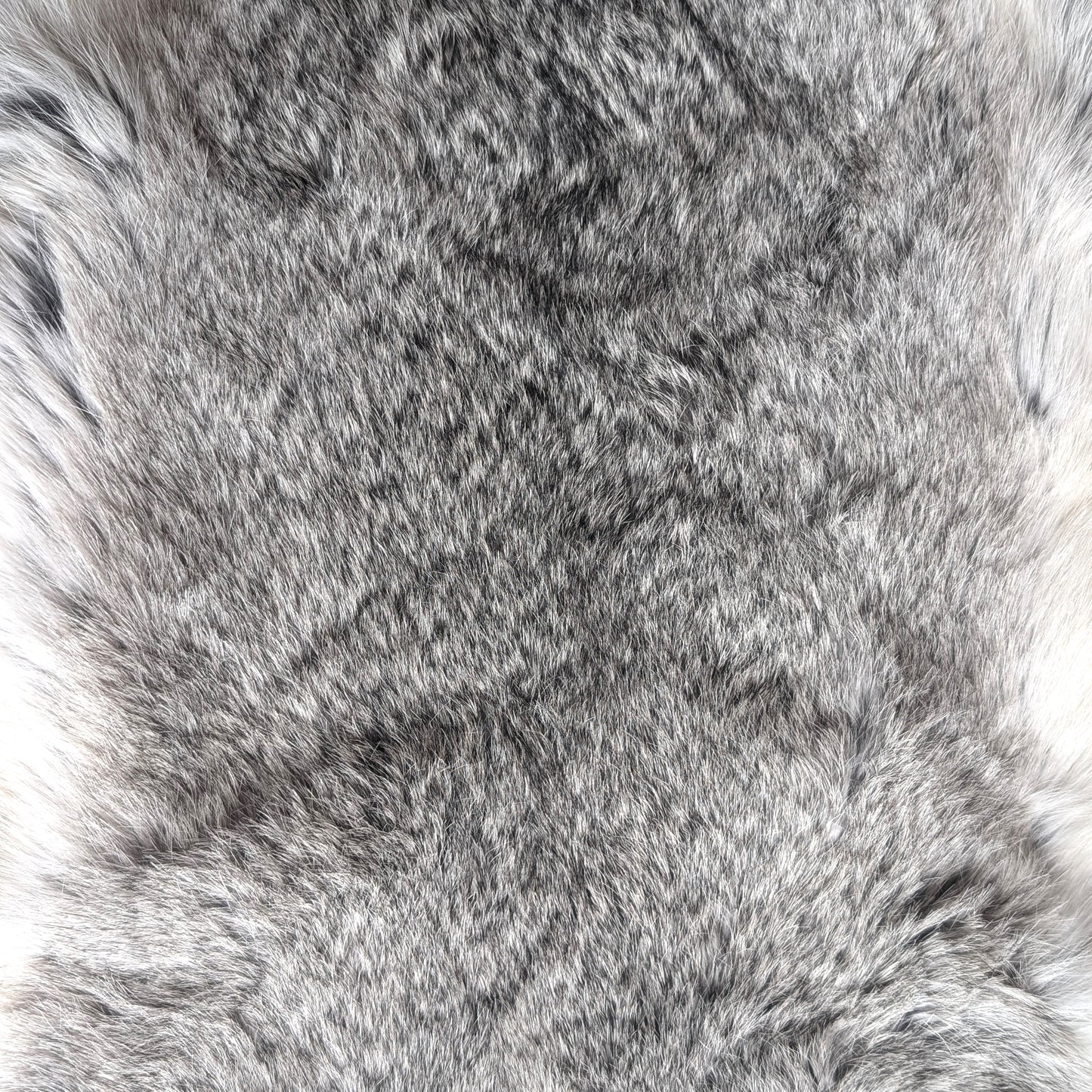 Large "Chinchilla" Rabbit Furs