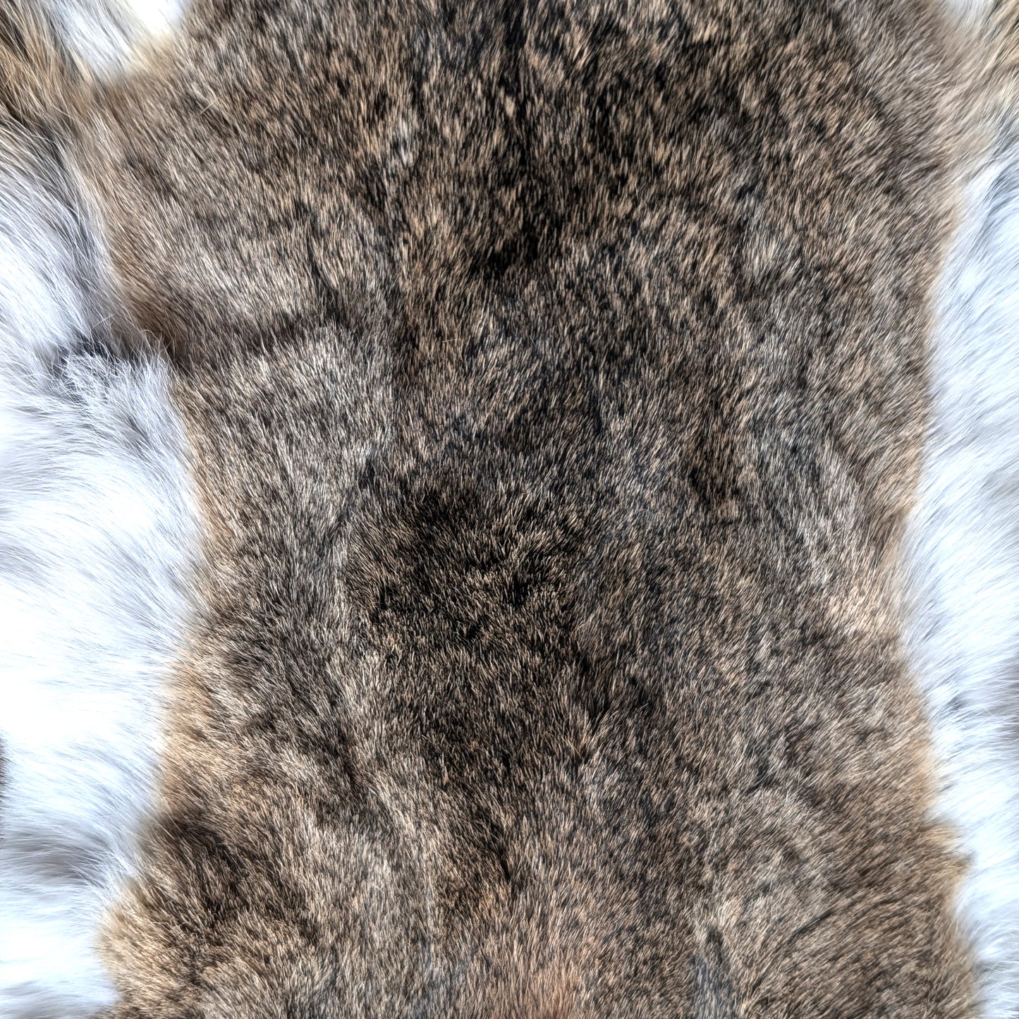 Natural "Coyote" Rabbit Furs