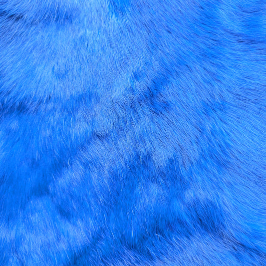 Royal Blue Rabbit Furs