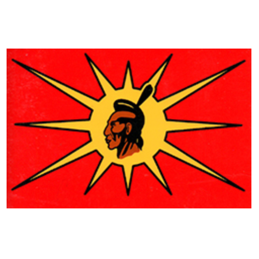 Warrior Flag
