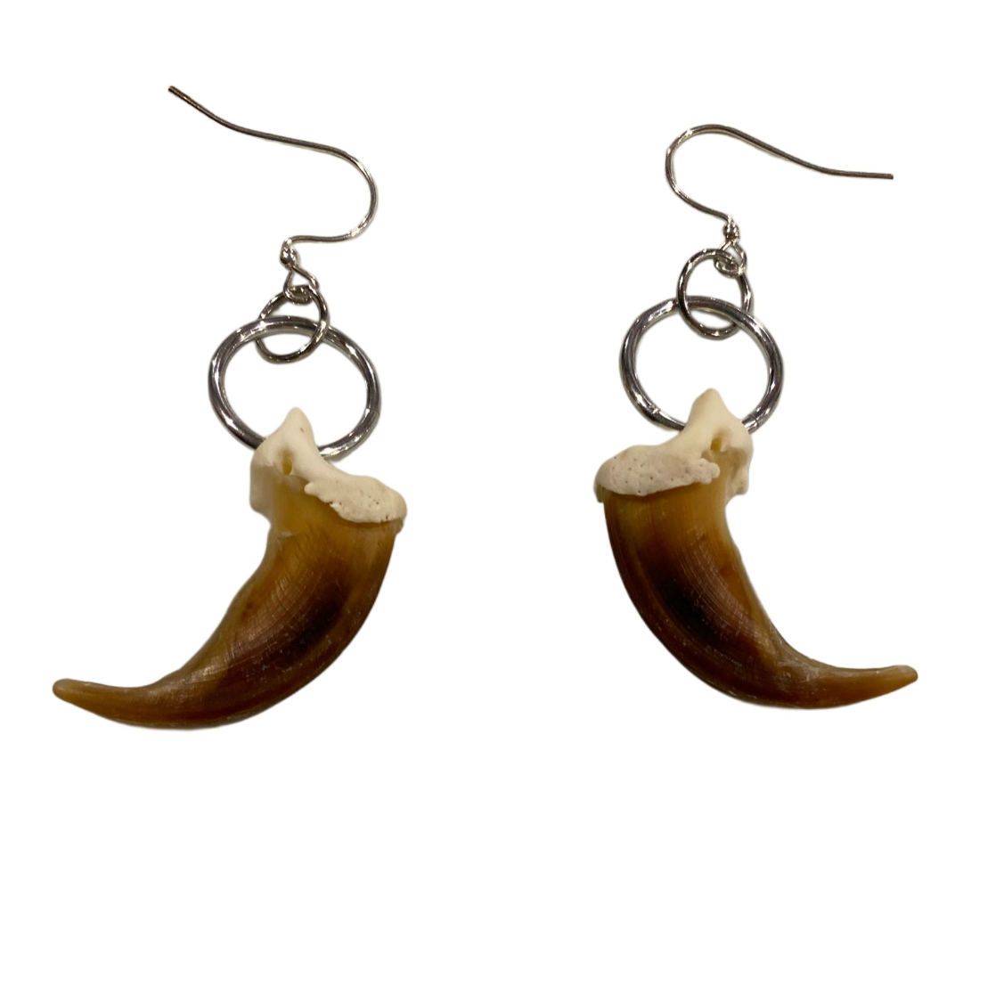 Real Wolf Claw Earrings