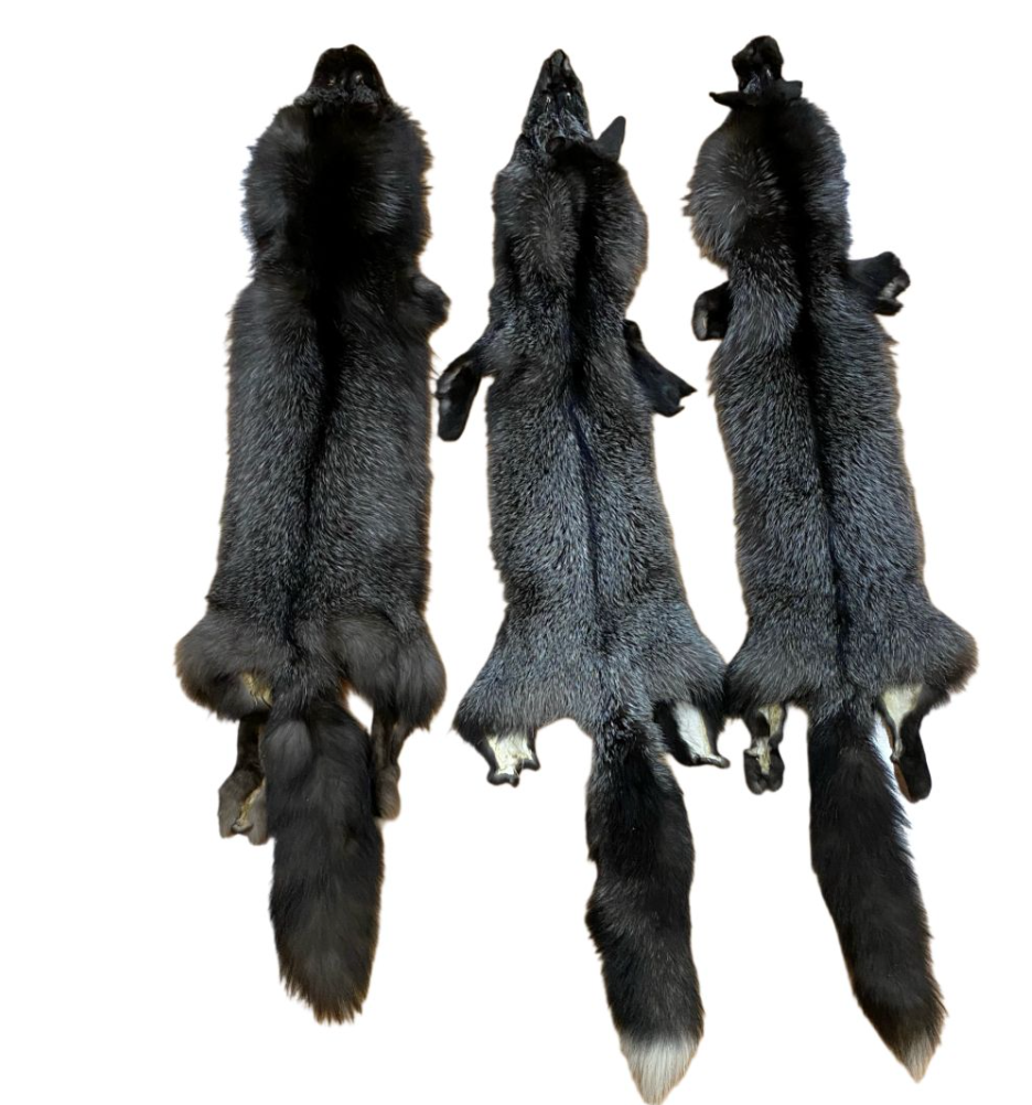 Silver Fox Fur - X-Large/Medium