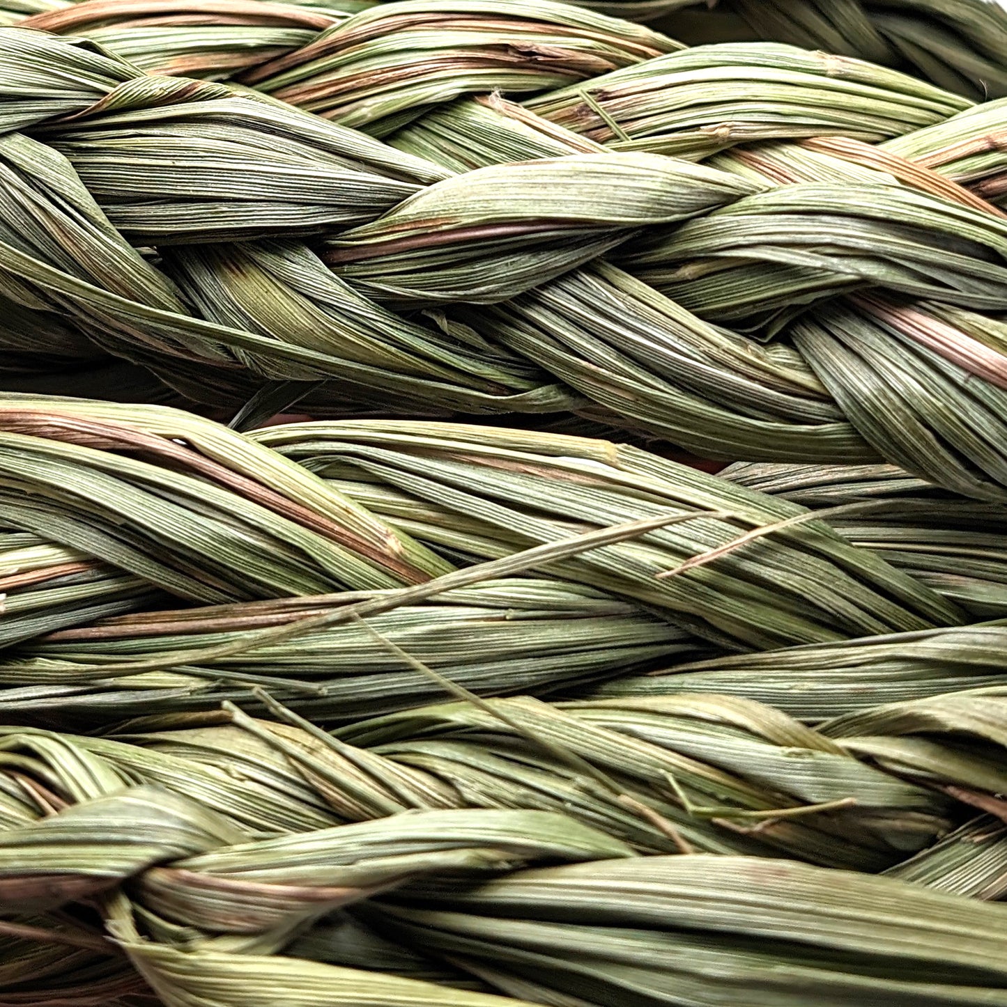 Sweetgrass