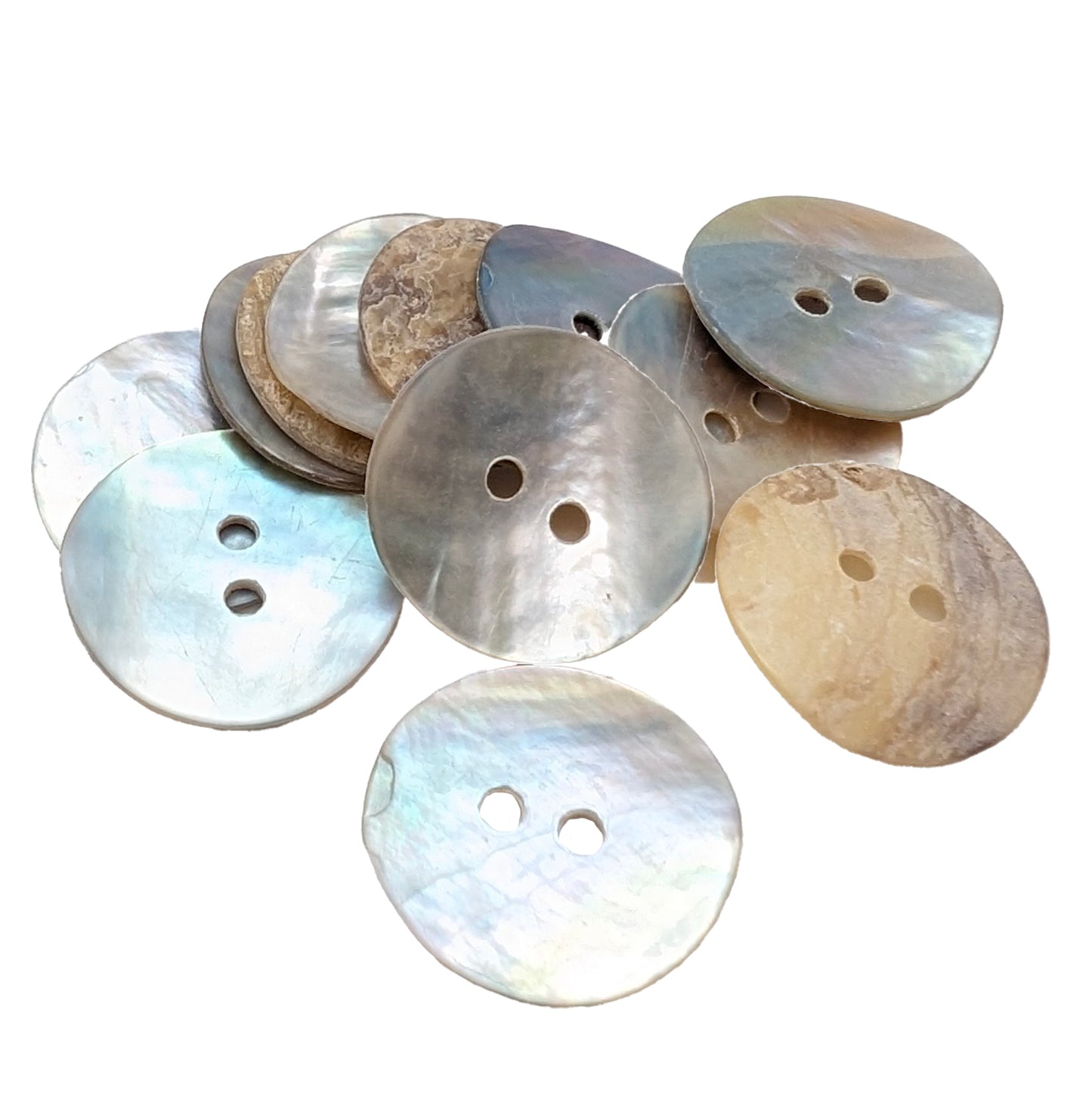 Abalone Shell Buttons