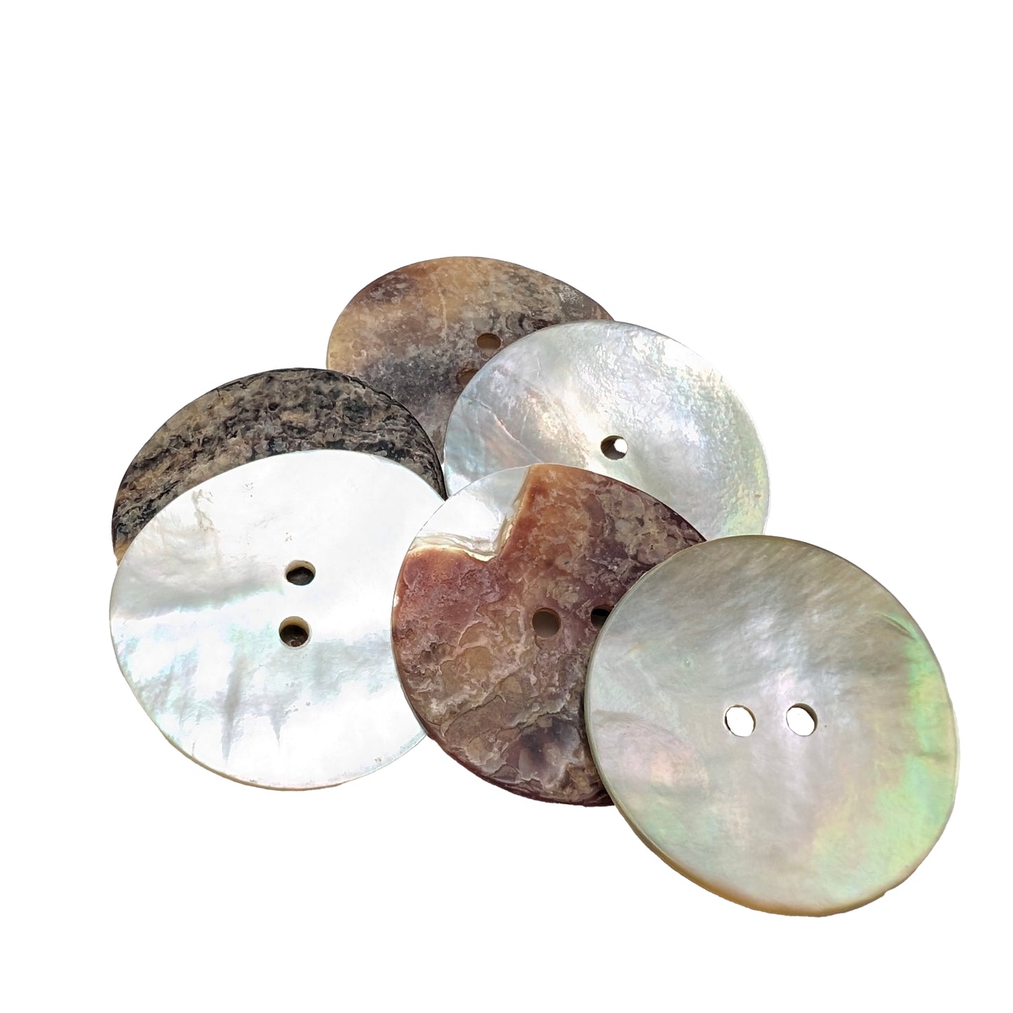 Abalone Shell Buttons