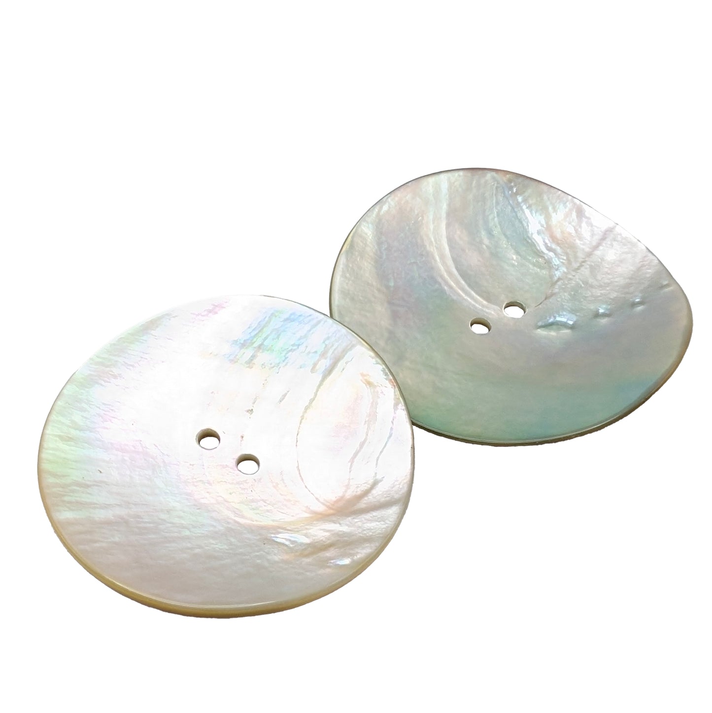 Abalone Shell Buttons