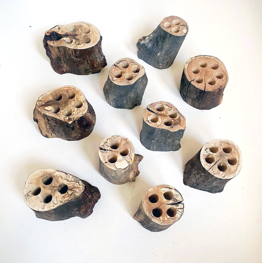 Sugar Maple Pencil Holders (2 Holes)