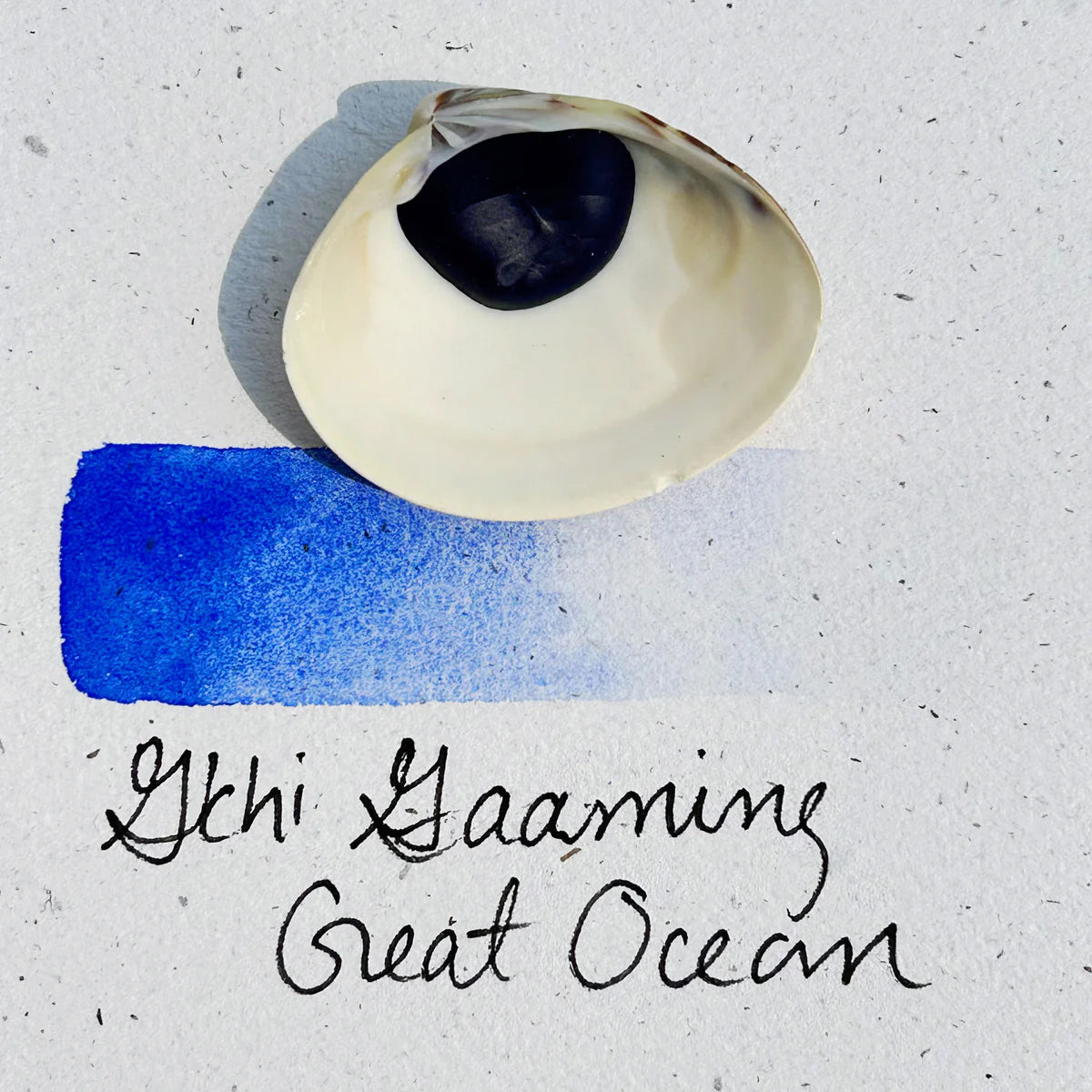 "Great Ocean" Shell Watercolour Paints | beampaints